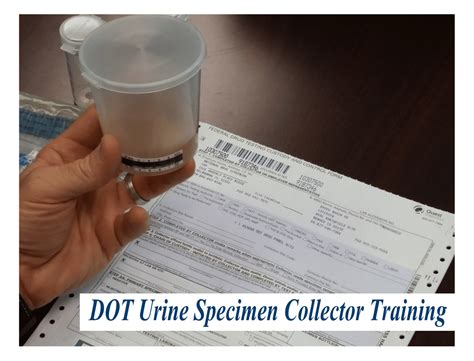 torn seal on urinalysis test vial|dot urine collector signature.